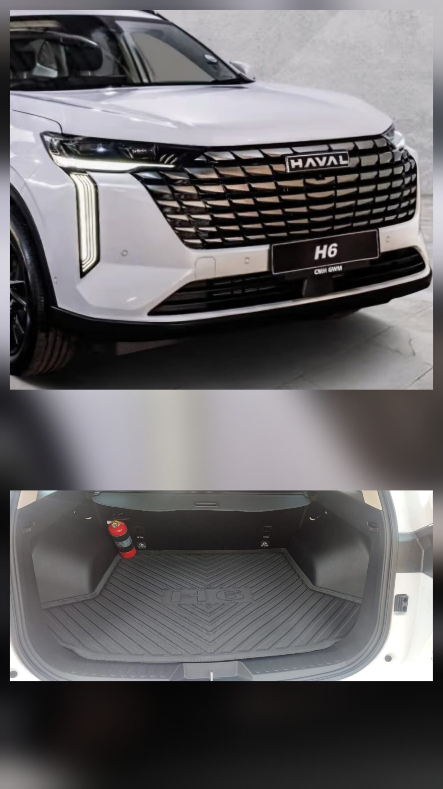 FACELIFT H6 BOOT MAT